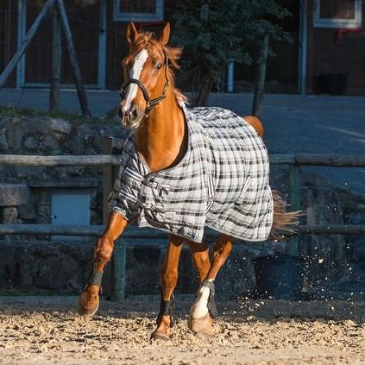 Spirit Brighton polyester deken met fleecevoering Horze