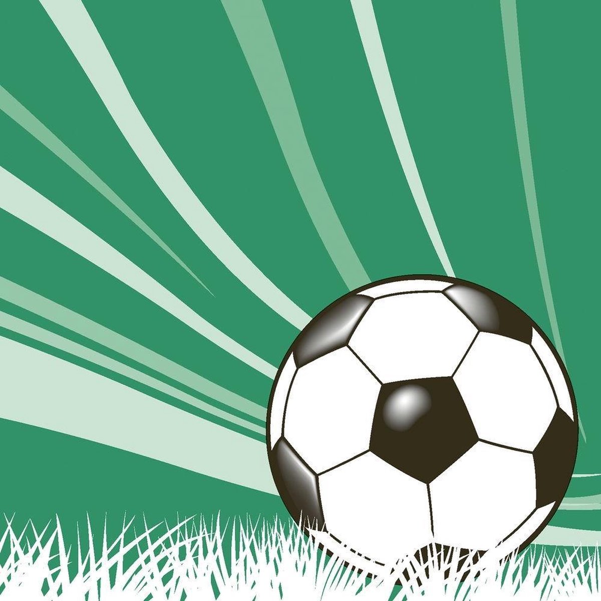 Duni Servetten Voetbal 3-laags 33 Cm Groen 20 Stuks