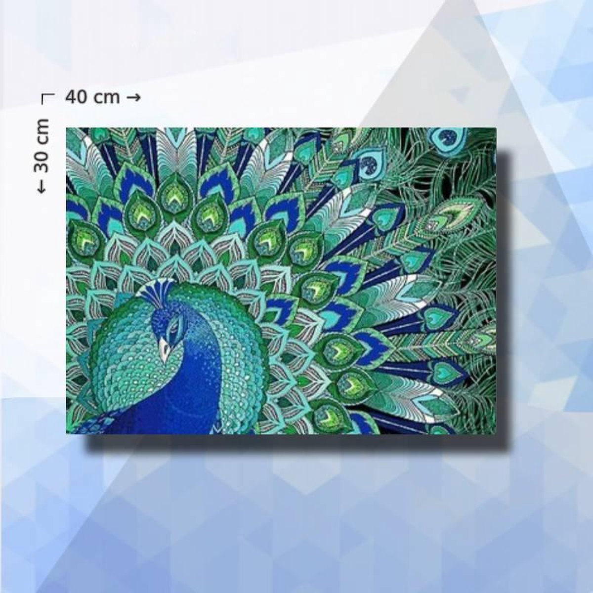 Diamond Painting Pakket Pauw - ronde steentjes - 40 x 30 cm