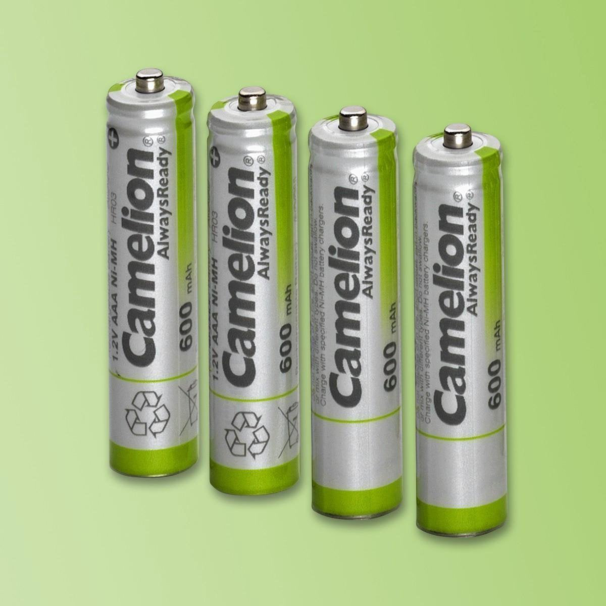Camelion Nh-aa600ar-bp4 Oplaadbare batterij Nikkel-Metaalhydride (NiMH)
