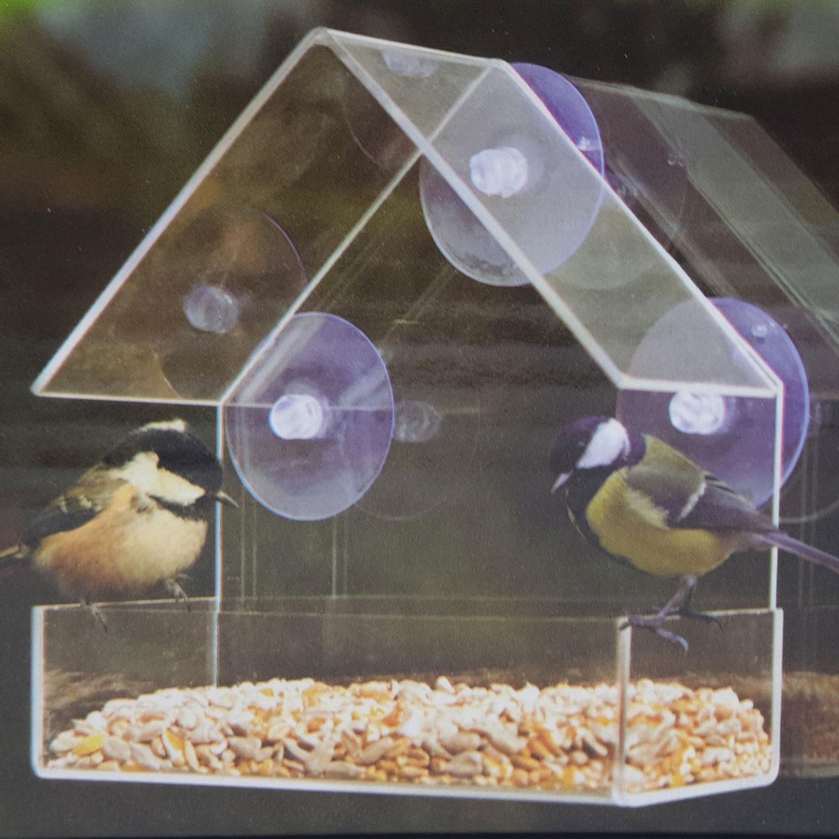 Raamvoederhuis Vogelhuis met 3 zuignappen