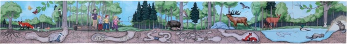 Vloerpuzzel het bos
