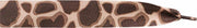 Verhaak Schoenveters Giraffe 130 X 2