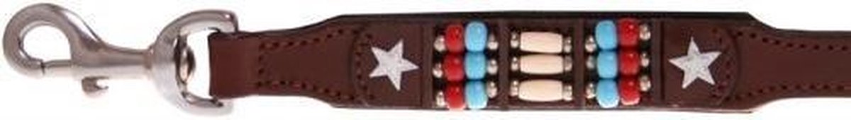 Hondenriem Cheyenne Star in the Sky  105 cm x 18 mm