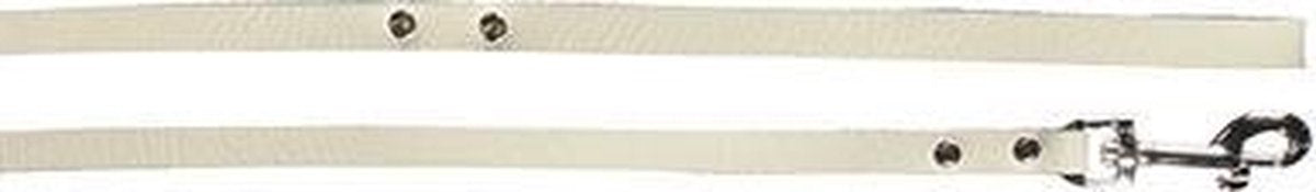 Youngster leash