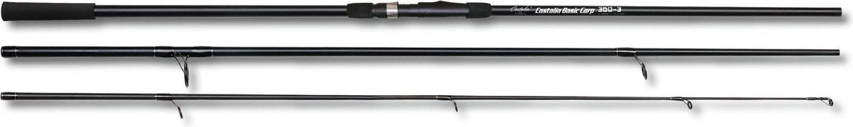 Castalia Basic Carp - 360cm/ 2
