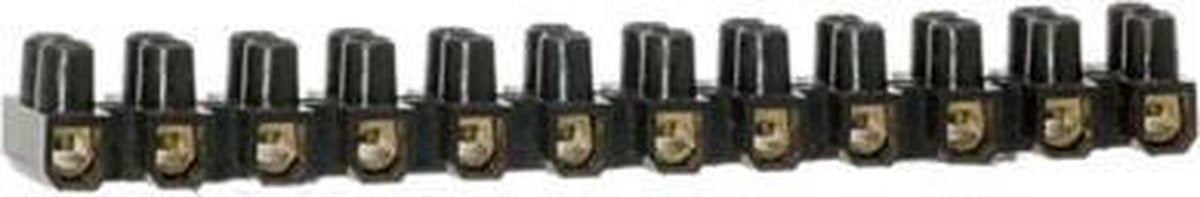 Kroonsteen 1 x 12-wegs 1 0 - 4 0 mmÂ² > 6A   10X