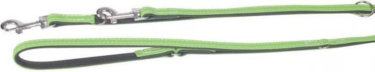 T.leash 5 collar 200cm14mm kiwi