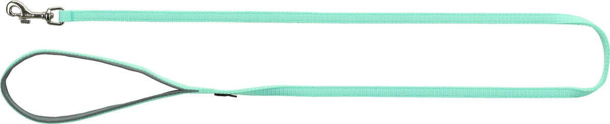 Hondenriem - Premium Riem - Maat: XS Afmetingen: 10 mm Lengte: 1.20 m - Kleur: mintgroen