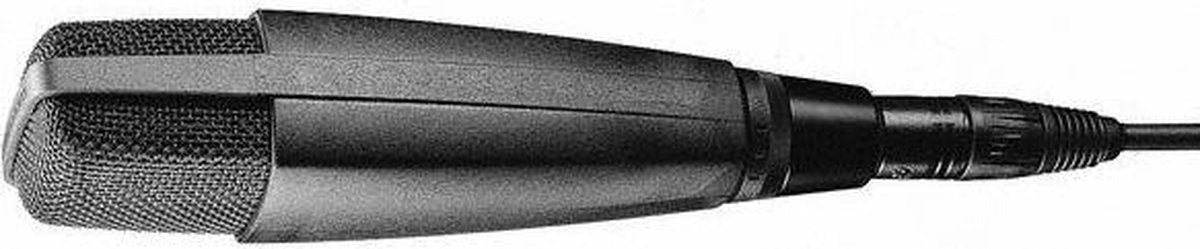 Sennheiser MD 421-II Microfoon voor studio's Zwart