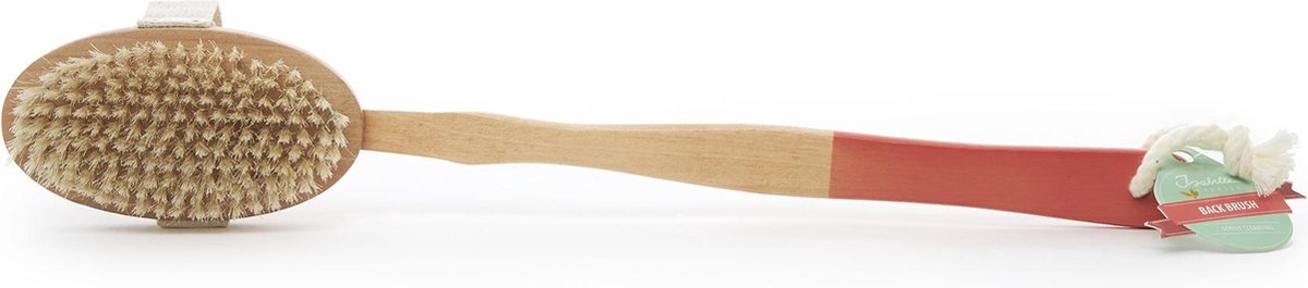 Rugborstel Roos | Isabelle Laurier | 42500
