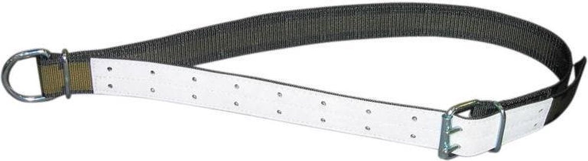 Kerbl Halsband 150x5cm Mit Ovalglied Und D-ring