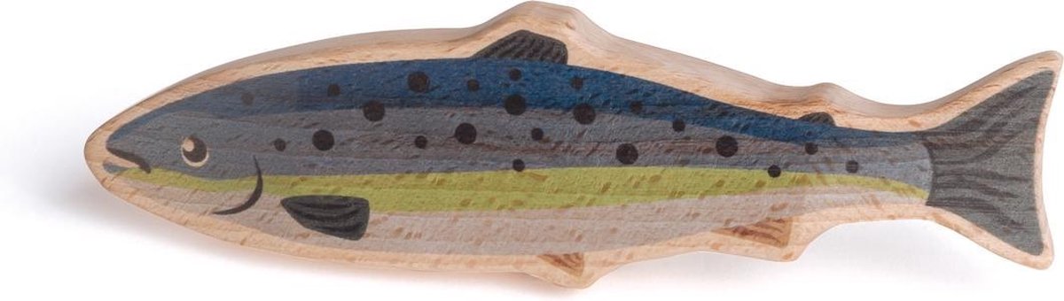 Complete vis: Zalm