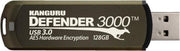 Kanguru Defender 3000 USB flash drive 8 GB USB Type-A 3.2 Gen 1 (3.1 Gen 1) Bruin