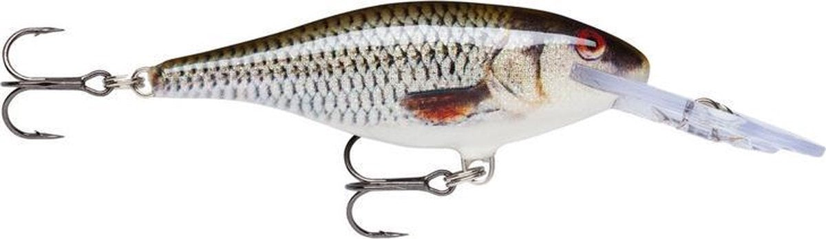 Rapala Shad Rap - 7 cm - Live Roach