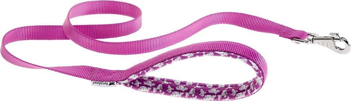 Daytona g15/120 laisse violet.