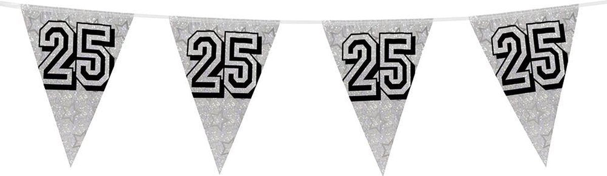 12 stuks: Holografische Vlaggenlijn - 25 - zilver - 8m