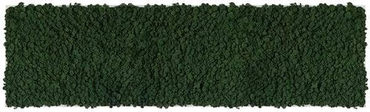 Stylegreen reindeer moss picture 140 x 40 CM mix
