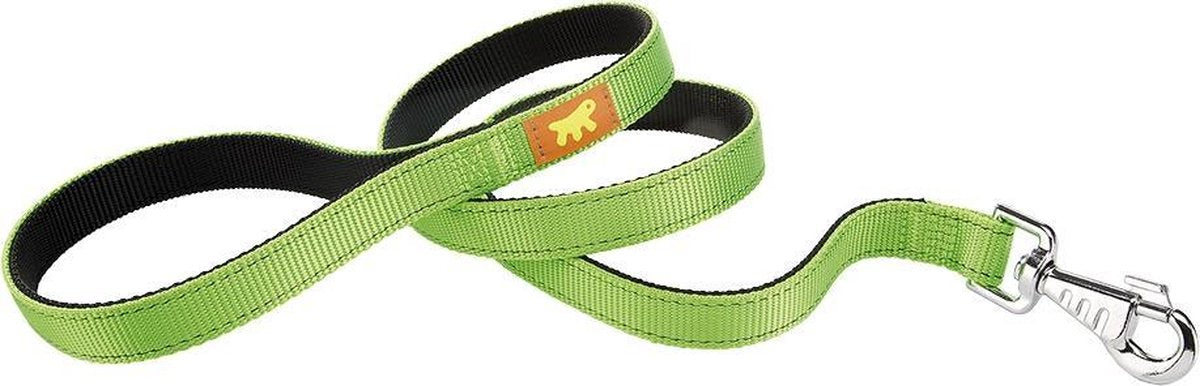Dual g20/110 laisse vert