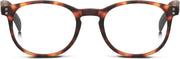 Looplabb Dune leesbril  +2.50 - bruin