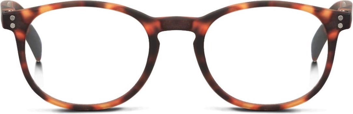Looplabb Dune leesbril  +2.50 - bruin