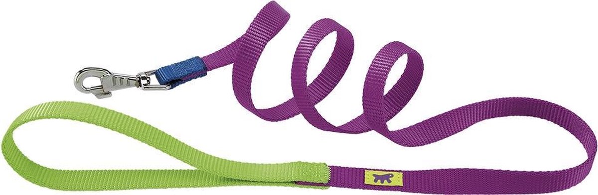 Club g20/120 laisse violette
