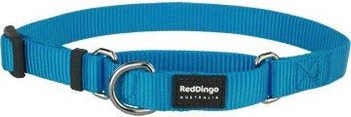 Red Dingo Martingale Correctie Halsband Hond 25mm x 41-62cm MC-ZZ-TQ-25