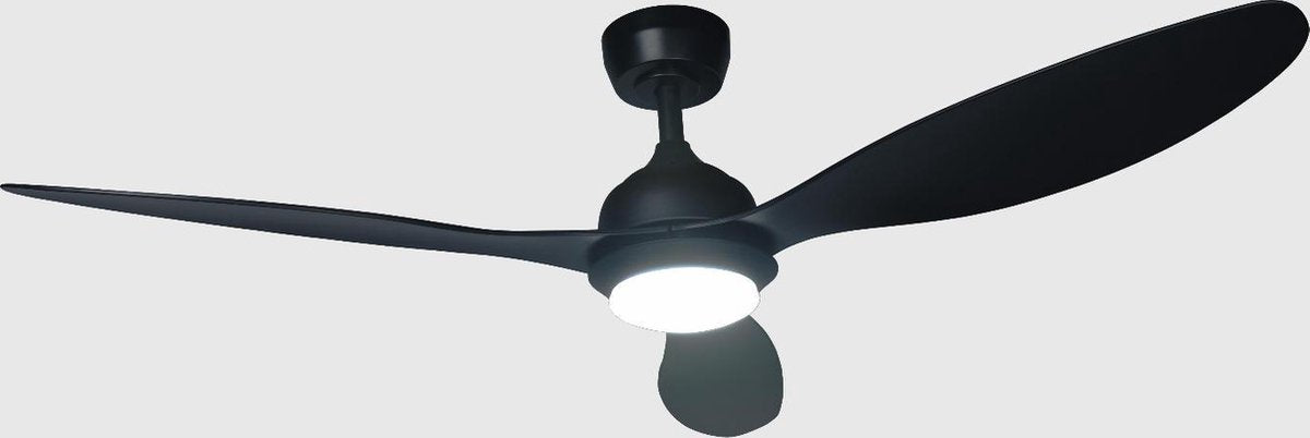 Plafondventilator met verlichting en afstandsbediening Romina - Zwart
