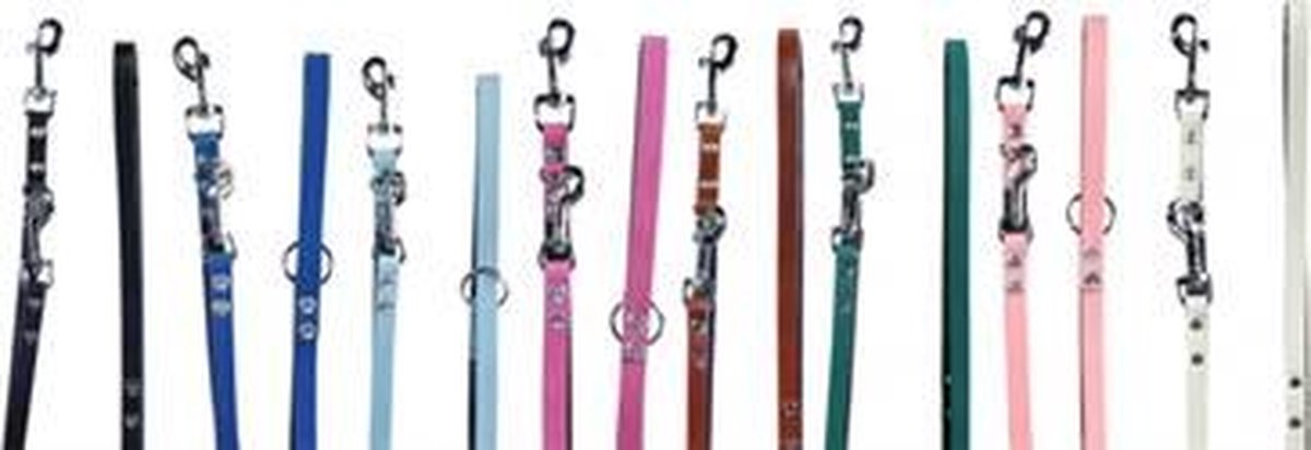 Youngster tr. leash
