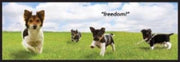 Altranet Zindelijkheidswand Piddle Place  102 X 35 Cm Groen