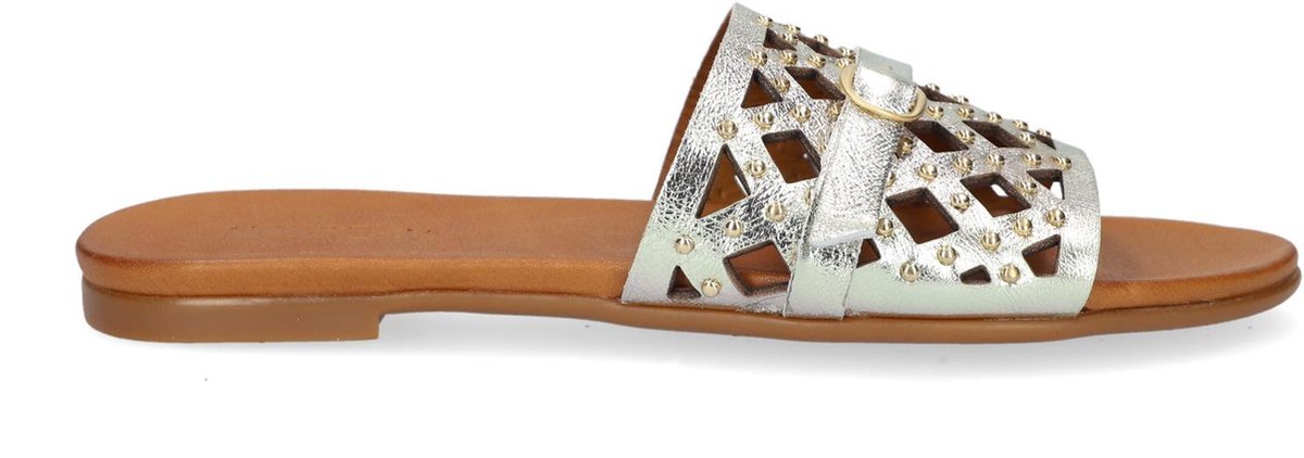 Notre-V 10301 Slippers - Dames - Goud - Maat 41