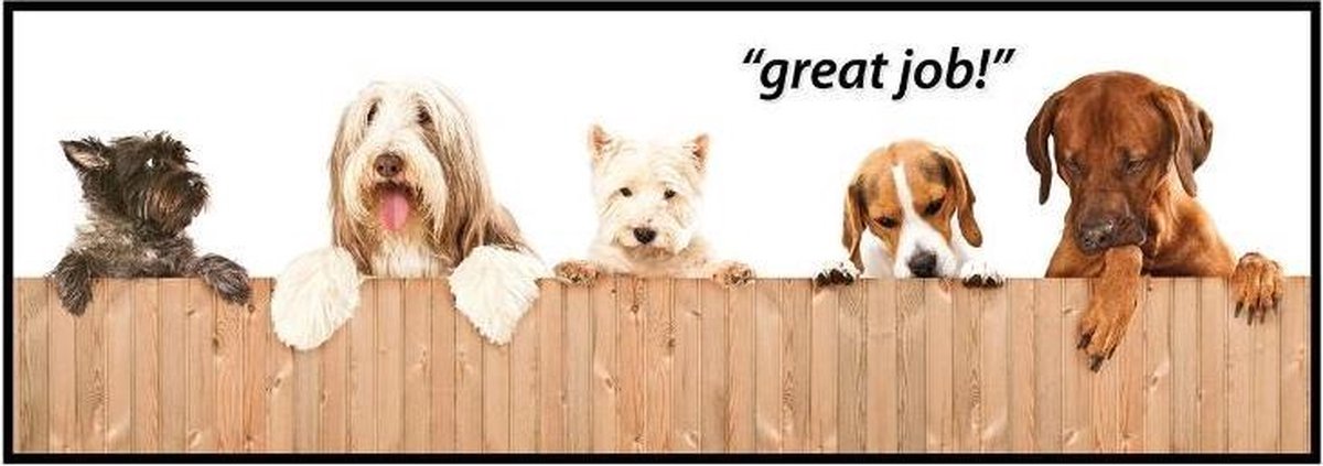 Petsafe Zindelijkheidswand Piddle Place 102 X 35 Cm Wit