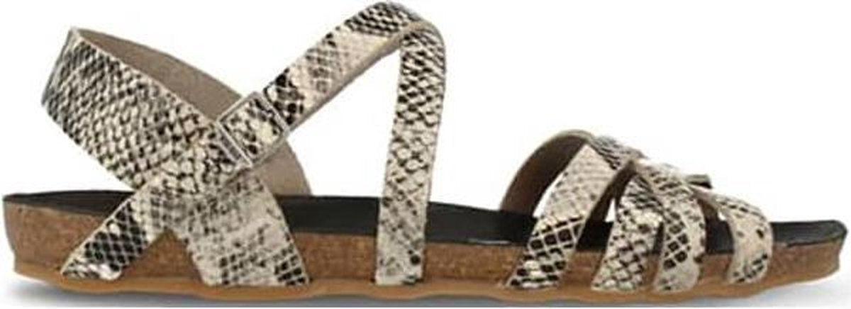Red Rag 79146 Beige Fantasy - Maat 41