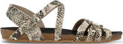 Red Rag 79146 Beige Fantasy - Maat 41