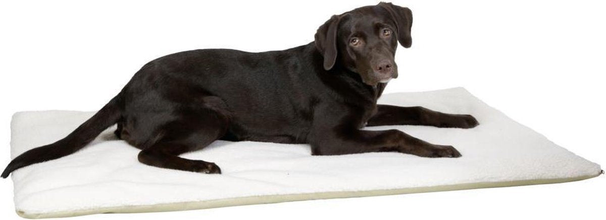 Hondenkleed Theo "Beige" (120*75*3)