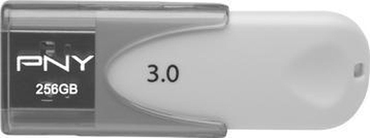 PNY ATTACHE 4 USB flash drive 256 GB USB Type-A 3.2 Gen 1 (3.1 Gen 1) Grijs