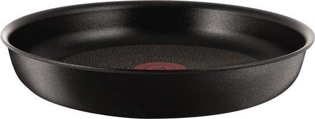 Tefal Braadpan 24 L6500402