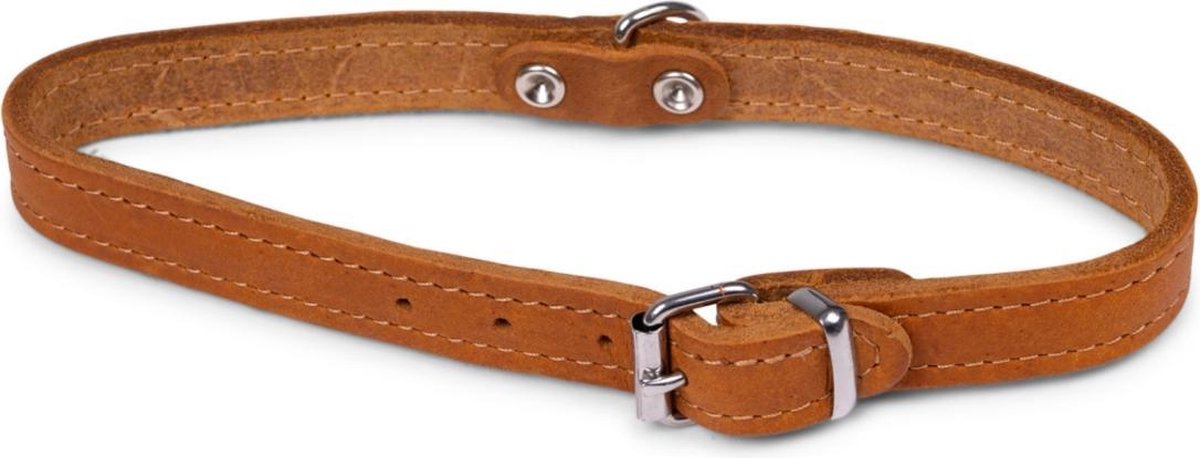 Dierenbenodigdheden Vadigran Halsband Hond Geolied Leder Cognac 42Cmx16Mm M