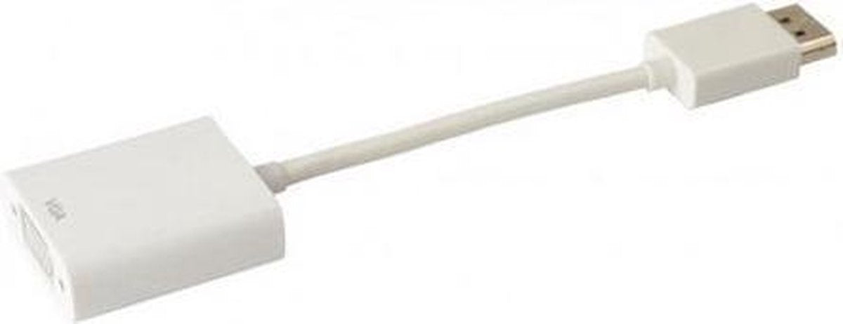 Techly ICOC DSP-V-001 tussenstuk voor kabels DisplayPort 20-pin VGA Wit