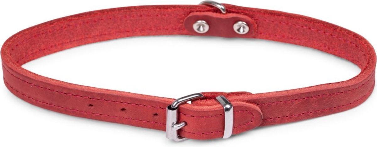 Dierenbenodigdheden Vadigran Halsband Hond Geolied Leder Rood 42Cmx16Mm M