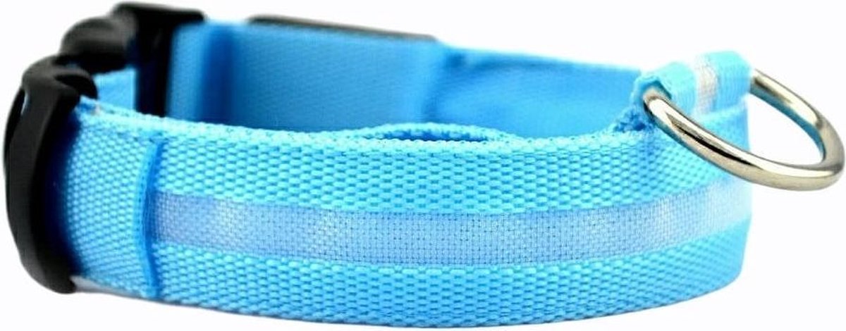 Halsband LED 37 - 46 cm USB Oplaadbaar Hondenhalsband Puppy Riem - Maat M Blauw Waterbestendig Hond Dog Kat Kitten Cat - Dutchwide®