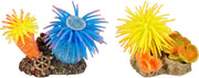 Aquarium decoratie Leo anemoom + rots - 10 x 7 x 7 cm