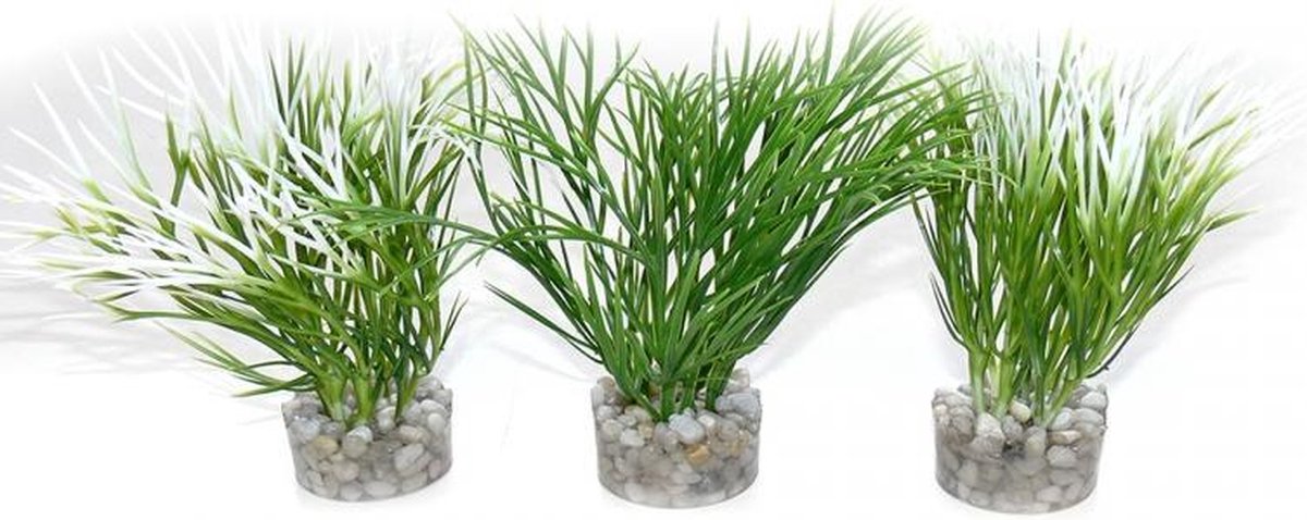 Sydeco Nano Green plant per 1 stuk