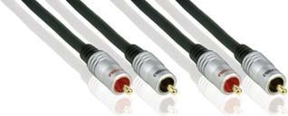 Profigold PGA4201CI audio kabel 1 m 2 x RCA Zwart