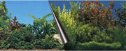 Auqa Della Poster achterwand beauty & sea 80x40cm