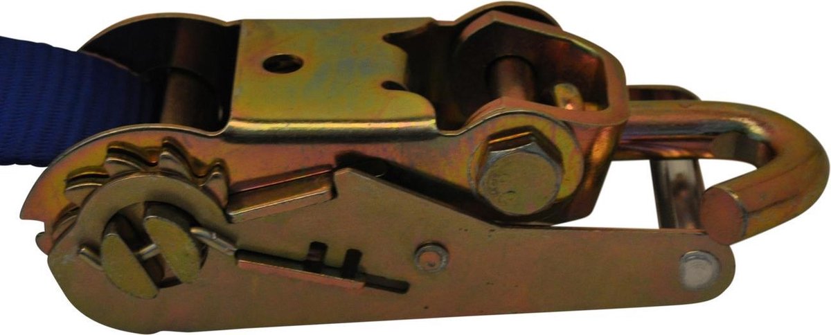 Spanband autotransport universeel 250x5 cm (860 kg)