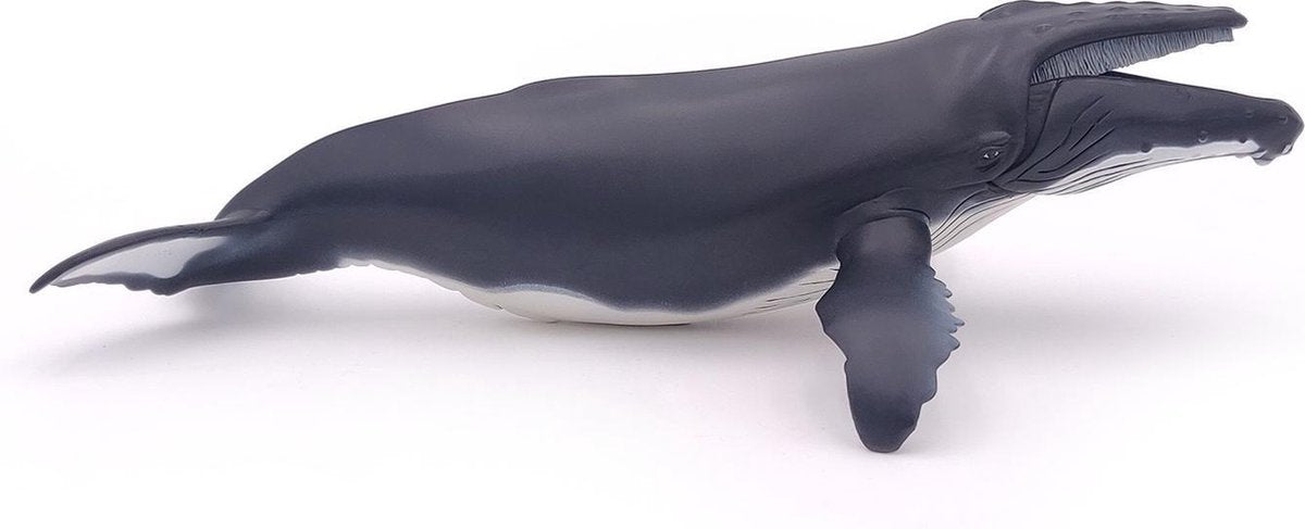 Bochelwalvis Actiefiguur & Verzamelitem
