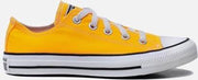 Converse Taylor All star OX Low Top sneakers oranje - Maat 39