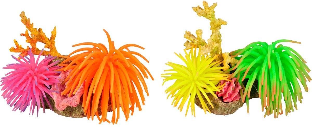 Flamingo Aquarium Leo anemoom+rots - Willekeurig - 13 x 9 x 11 cm