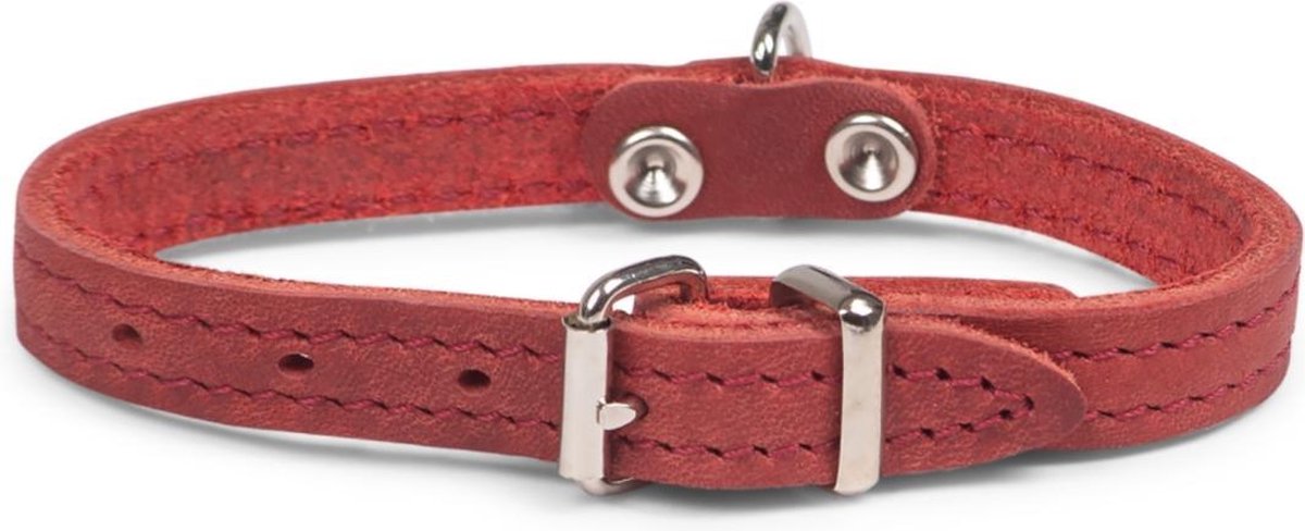 Dierenbenodigdheden Vadigran Halsband Hond Geolied Leder Rood 27Cmx12Mm Xxs